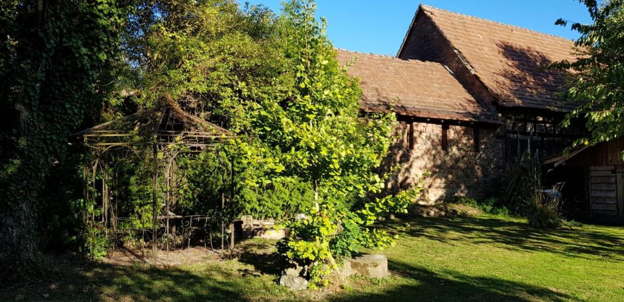 Gite A La Petite Fontaine-Plain Pied-Maison Alsacienne Renovee Avec Passion-4 Pers-4Nuitees Minimum Langensoultzbach Екстериор снимка