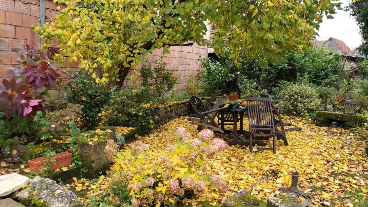 Gite A La Petite Fontaine-Plain Pied-Maison Alsacienne Renovee Avec Passion-4 Pers-4Nuitees Minimum Langensoultzbach Екстериор снимка