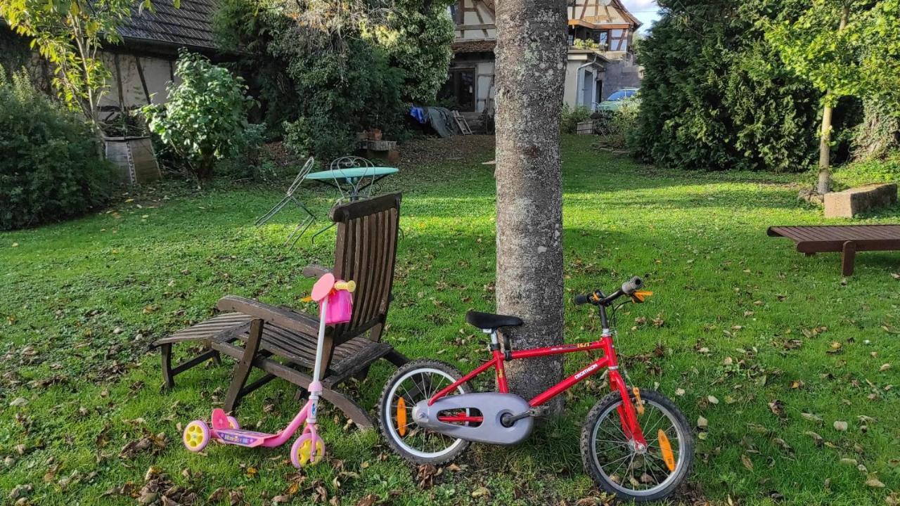Gite A La Petite Fontaine-Plain Pied-Maison Alsacienne Renovee Avec Passion-4 Pers-4Nuitees Minimum Langensoultzbach Екстериор снимка